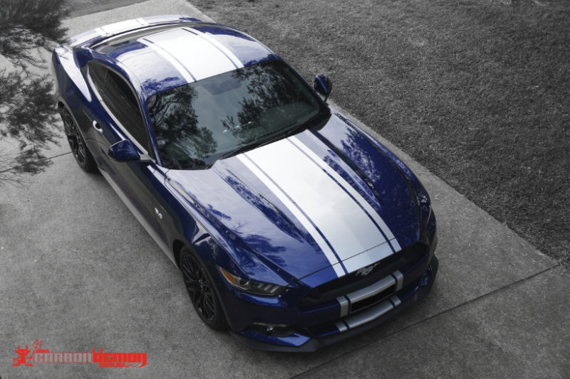 Ford Mustang Blue and Silver