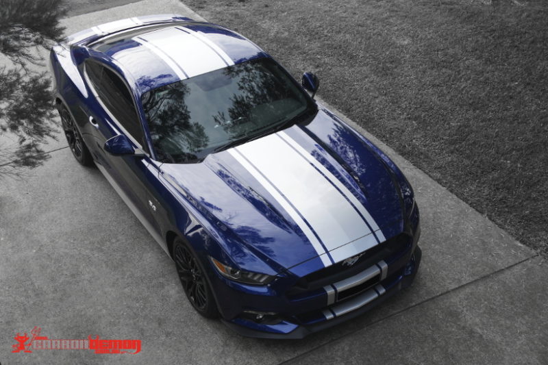 Ford Mustang '16 stripes Ford Mustang Blue and Silver