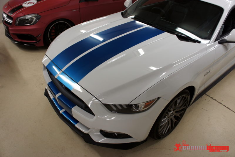 Mustang gloss stripes