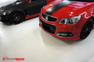 VF vinyl bonnet stripes