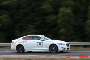 Targa Jaguar XF