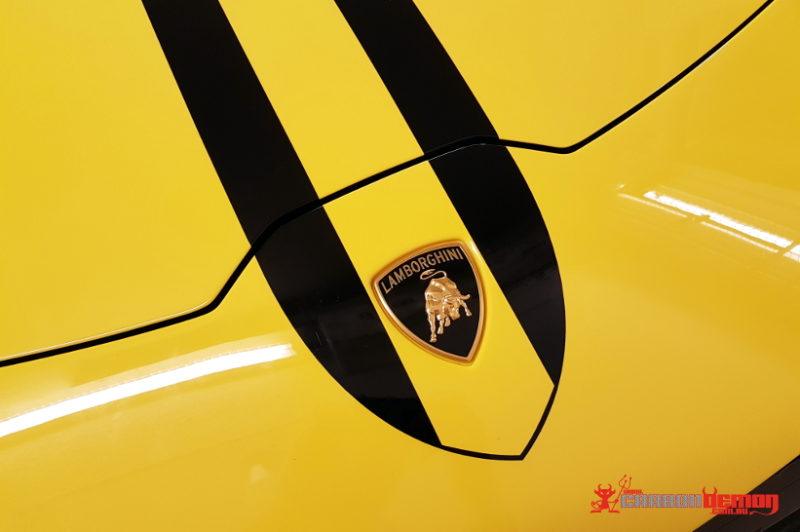 Lamborghini Performate Custom Stripe Lamborghini Performate Custom Stripe