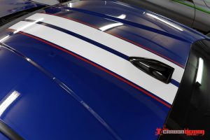 BRZ Stripes