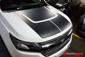 Colorado Bonnet Decal