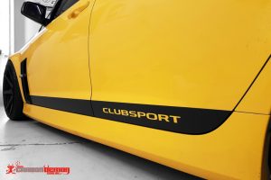 Holden VE Door Stripes