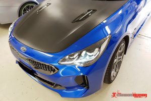 Stinger KIA Carbon Hood Wrap